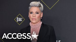 Pink Didn’t Always Want To Be A Mom