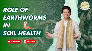 Role of Earthworms in Soil Health | How Earthworms Improve Soil Fertility | Spring Scientific