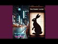 The Rabbit Layer