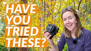 10 Autumn Photography Tips You Must Try This Season 🍂