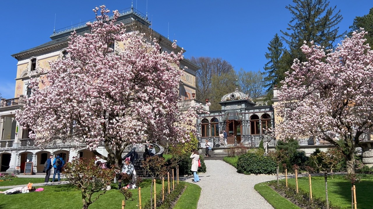 Spring in Zurich Flower Walk 🌸 Switzerland 4K Walking Tour April 2025