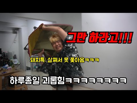 뚱뚱한 친구 돼지특 돼지특 거리면서 하루종일 괴롭히기 ㅋㅋㅋㅋㅋㅋㅋㅋㅋㅋㅋㅋ멘탈 터지눜ㅋㅋㅋㅋㅋㅋㅋㅋㅋㅋㅋㅋㅋㅋ(feat.팩트폭력)