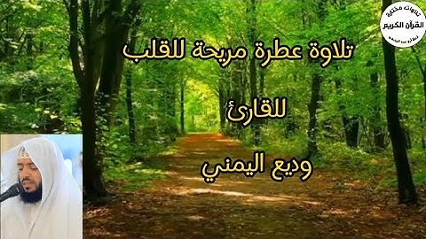 سورة الإنسان  تلاوة هادئة مميزة..... للقارئ وديع اليمني