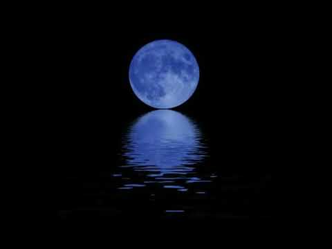 Young Punch  - エレクトロ・アース・トラックス