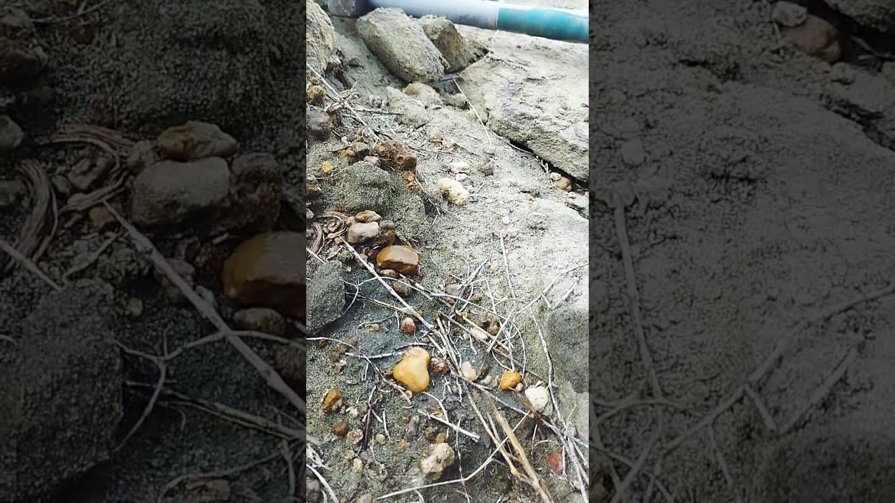 A Gemologist's Dream: Mount Solomon's Precious Stones 