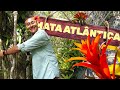 Mata Atlântica | Biomas do Brasil | Ep.7