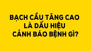 Bạch cầu tăng cao là dấu hiệu cảnh báo bệnh gì? - Duy Anh Web