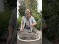 J’ai installé un piège pour les chenilles processionnaires aujourd’hui.