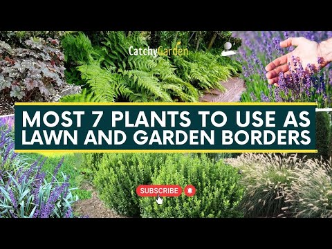 Vídeo: Idéias de design de paisagem Xeriscape para solo argiloso - jardinagem know-how
