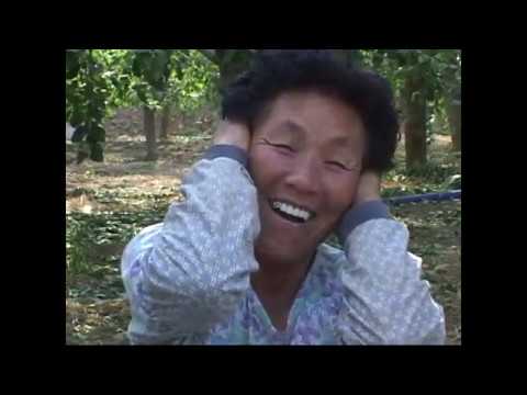 [<strong>도올TV</strong>] 우리의소리 91 물터는 소리 - 귓물빼는 소리