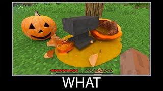 Minecraft wait what meme part 172 realistic minecraft pumpkin
