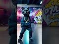 مجوز نار قطط لطيفة ترقص بحترافية Adventure Cute Youtube Funny Cutecat Kitten Pubgmobile Love 
