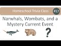 Homeschool trivia class 17 narwhals wombats and a mystery current event