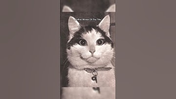 Incredible Historic Photos You Need to See! Part 48