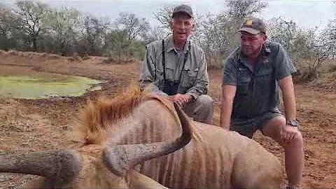 hunting south africa Limpopo golden wildebeest @steelegamesafaris