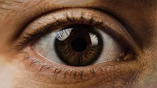 Clockartz - Indifferent (Official Videoclip)