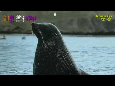 가수정연 해운대에서 영상노래 kmsip방송
