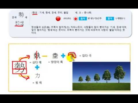 권세勢세