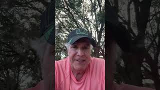 Celebrity Ex-IRS Agent Reveals: How to Handle Back Taxes and Get on IRS's Good Side | Expert Advice Wealth