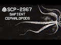 SCP-2967 - Sapient Cephalopods : Object Class - Euclid : Sentient SCP