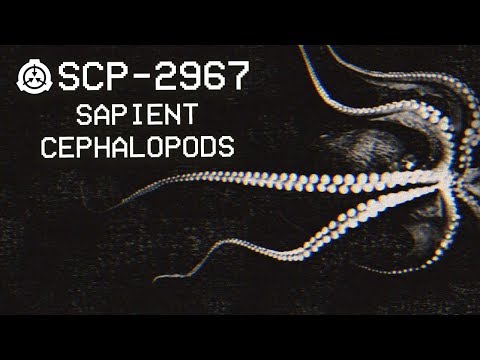 Video: Cephalopods: Një Përshkrim I Shkurtër I Klasës