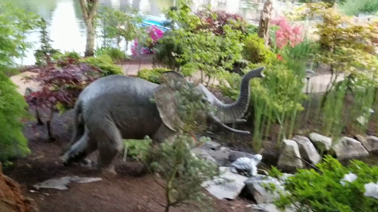 Elephants and Japanese maples in the garden - Amazing Maples & Crazy Conifers- 18 may 18