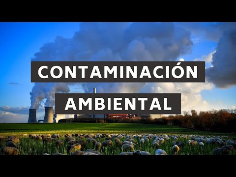 Contaminacion ambiental | Perspectiva Verde