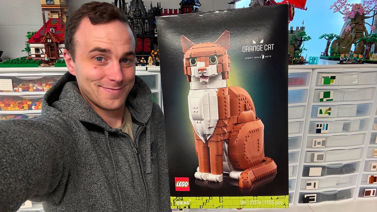 Building the LEGO Orange Cat
