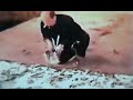 End of video
