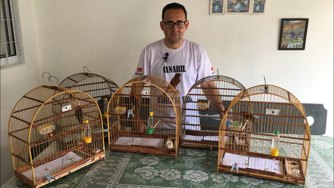 Paixão pelas aves 🦅🦜