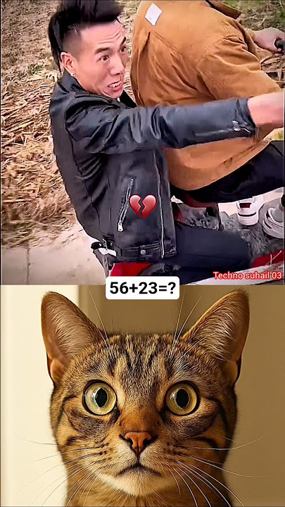 Falling from the bike🤕#cat