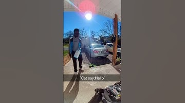 The cat says hello to Amazon driver #shorts #cat #funny