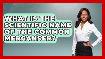 What Is The Scientific Name Of The Common Merganser? - Bird Watching Diaries