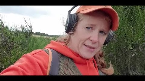 Nokta Makro Simplex vs Coal. A detecting challenge.