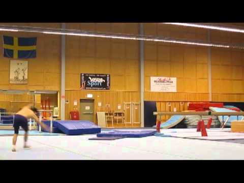 Artistic Gymnastics so far