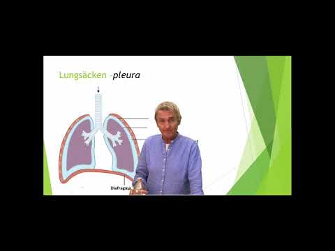 Video: Pneumoskleros I Lungorna - Symtom, Behandling, Basal Pneumoskleros