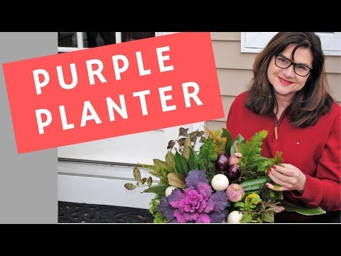 Purple Planter Made from Refreshed Fall Arrangement