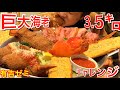 【大食い】超特大海老にガブリついてきた‼️【デカ盛り】【チャレンジメニュー】【大胃王】【飯テロ】【有吉ゼミ】【海老バル】