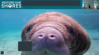 June 2025 Monthly Meeting Presentation By Victoria Wilcock From The Brevard Zoo's Restore Our Shores June 2025 Monthly Meeting Presentation By Victoria Wilcock From The Brevard Zoo's Restore Our Shores