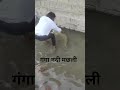 गंगा नदी फाई#funny#facts #nature #fish #nature #viralvideo