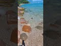 Rosat po lahen brenda në liqen 🦆🦆