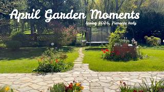 Soft Spring Days In My Garden screenshot 1