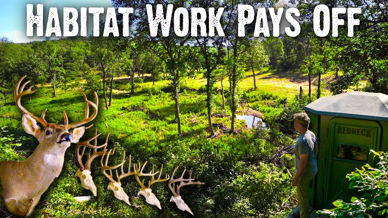 Six Years of Habitat Restoration: Reaping the Rewards