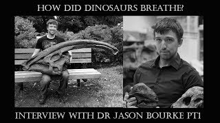 ANKYLOSAUR Nasal Passages Function as Heat Exchangers! // Interview with Dr Jason Bourke (pt1)