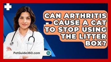 Can Arthritis Cause A Cat To Stop Using The Litter Box? - PetGuide360.com