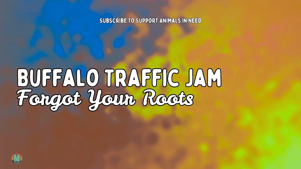 Buffalo Traffic Jam - Forgot Your Roots Buffalo Traffic Jam - Forgot Your Roots