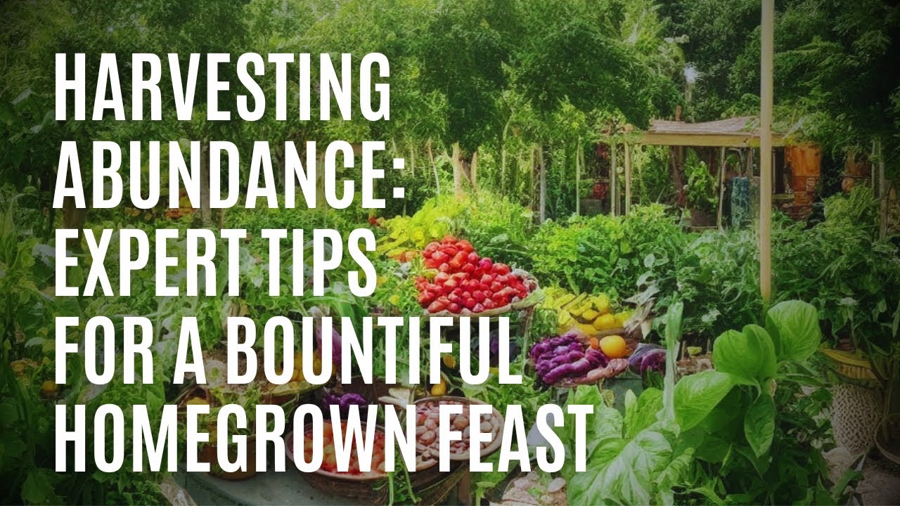 Harvesting Abundance Expert Tips for a Bountiful Homegrown Feast YouTube