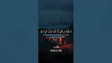 سورة ق صوت اسلام صبحي 