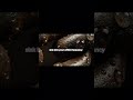 The Matrix Secrets #43 | TG: arhitestpay_bot