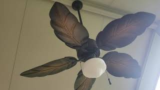 Harbor Breeze ceiling fan light won t work SOLVED